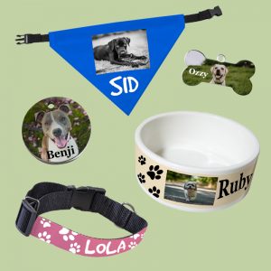 Pets Accesories